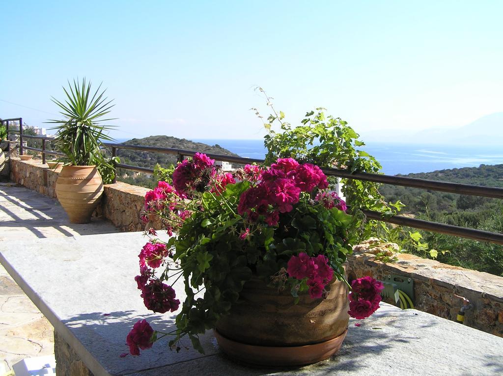 Fissi Villas Agritourism Accommodation Near The Sea Agios Nikolaos Exteriör bild
